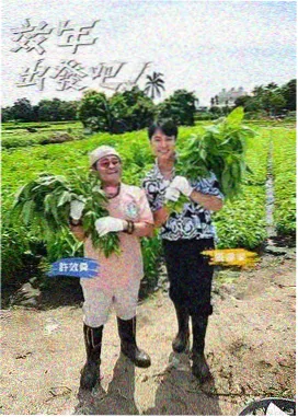 追更日历功能上线资讯